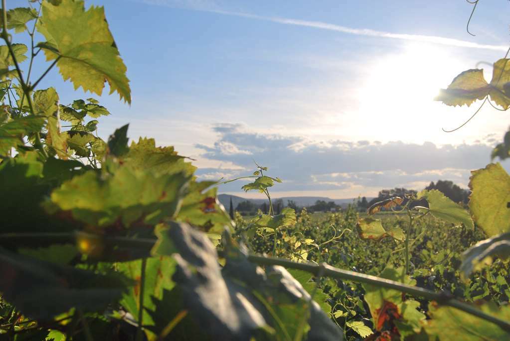 Chateau De La Richerie Beaurepaire  Εξωτερικό φωτογραφία